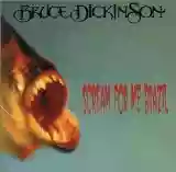 Bruce Dickinson: Scream For Me Brazil