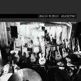 Uncle Tupelo: Anodyne