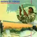 Guided by Voices: Under the Bushes Under the Stars