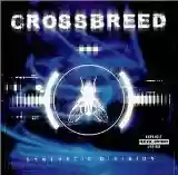 Crossbreed: Synthetic Division