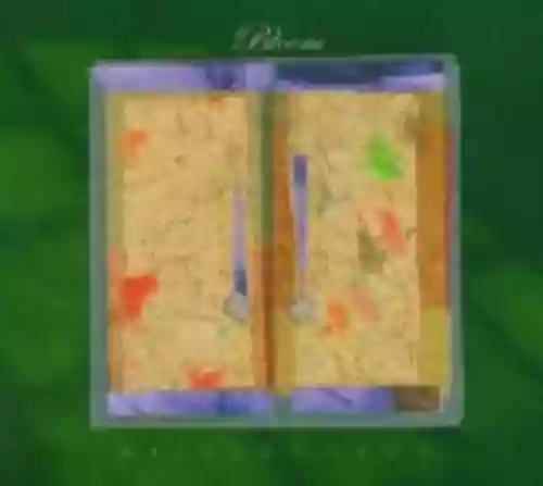 Cover di Bloom