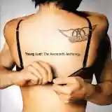 Aerosmith: Young Lust: The Aerosmith Anthology