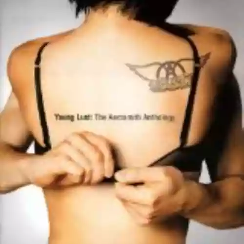 Cover di Young Lust: The Aerosmith Anthology