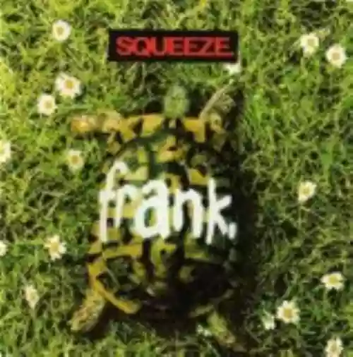 Cover di Frank