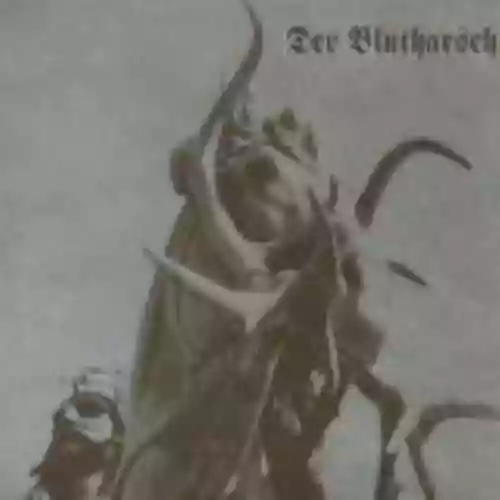 Cover di The Track of the Hunted