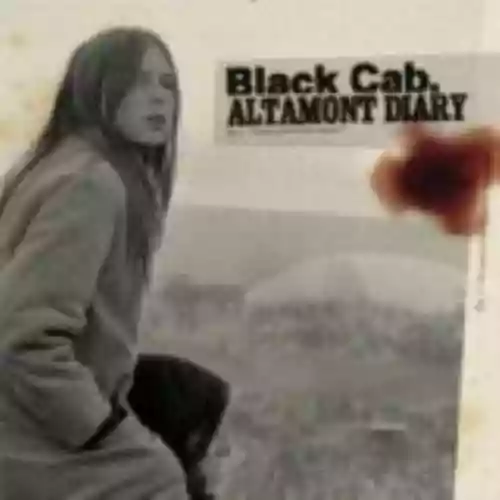 Cover di Altamont Diary
