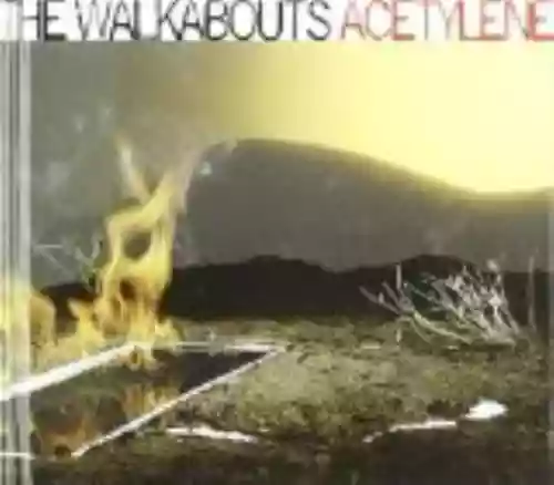 Cover The Walkabouts - Acetylene