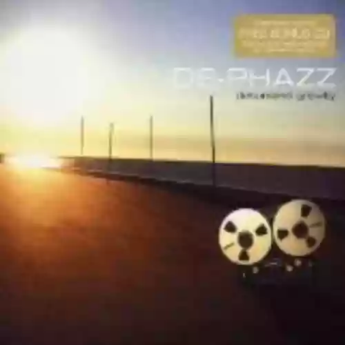 Cover di Detunized Gravity