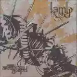 lamb of god: new american gospel