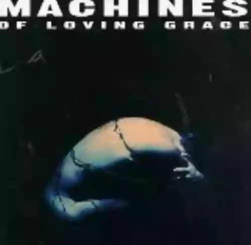 Cover Machines of Loving Grace - Concentration