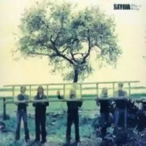 Cover Saybia - These Are the Days