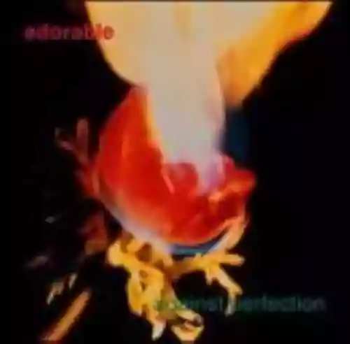 Cover di Against Perfection