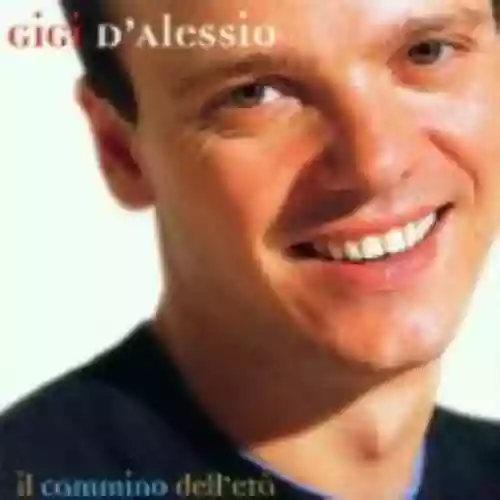 Cover di Il cammino dell'età