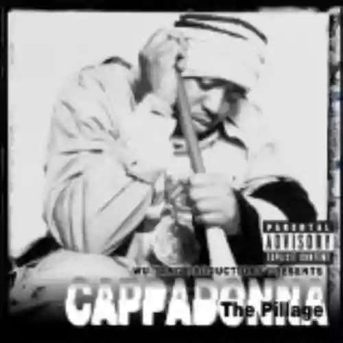 Cover di The Pillage