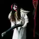Björk: Drawing Restraint 9