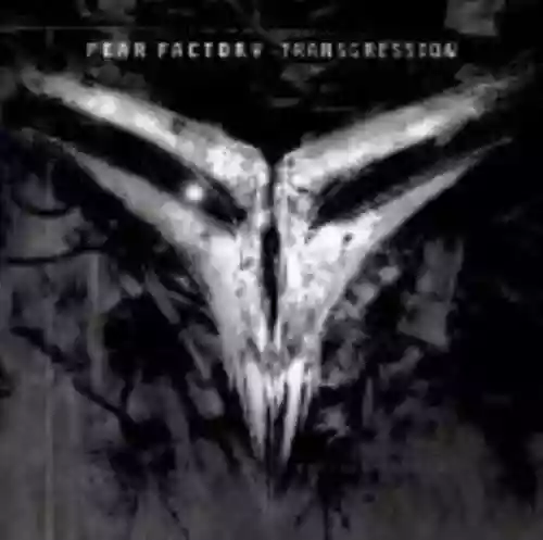 Cover di Transgression