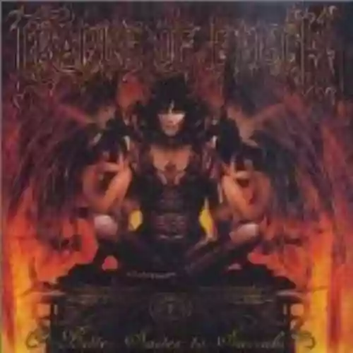 Cover di Bitter Suites to Succubi