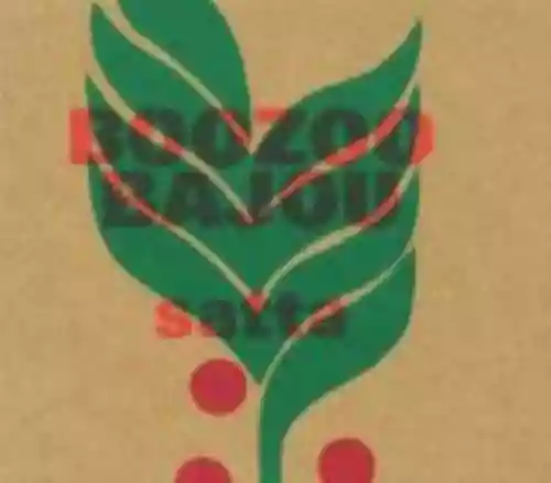 Cover di Satta