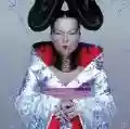 <b>Björk</b> • Homogenic