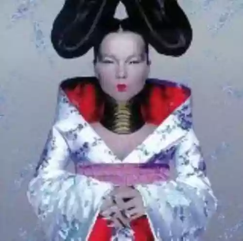 Cover di Homogenic