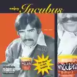 Cover di Enjoy Incubus