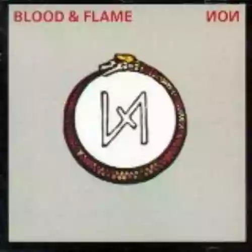 Cover di Blood & Flame