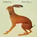 Vashti Bunyan: Lookaftering