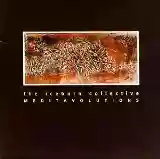 The Iceburn Collective: Meditavolutions