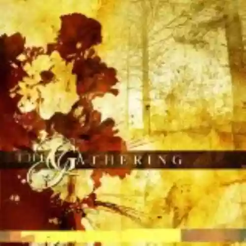 Cover The Gathering - Accessories