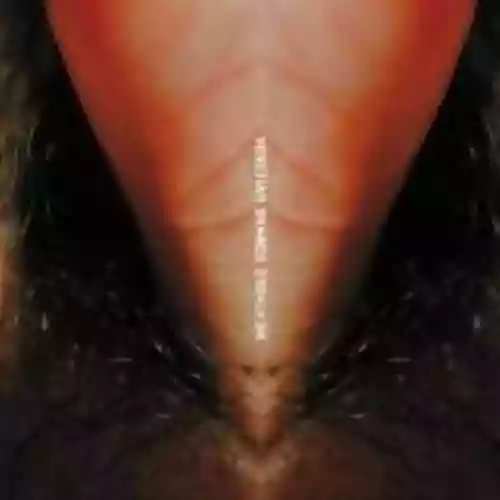Cover Venetian Snares - Meathole