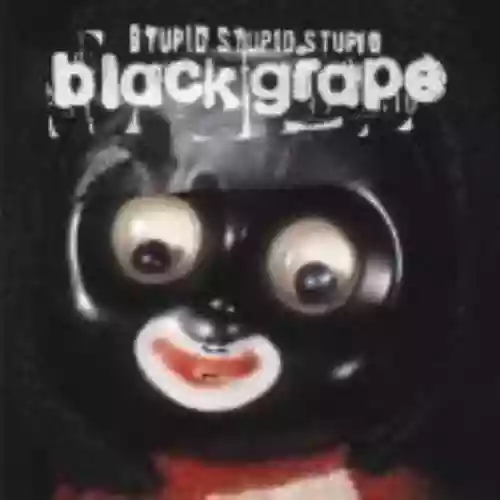 Cover di Stupid Stupid Stupid