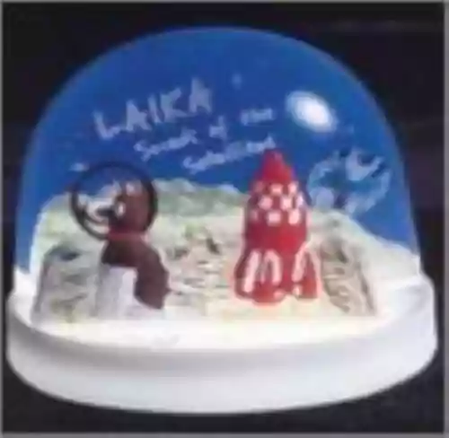 Cover Laika - Sounds of the Satellites
