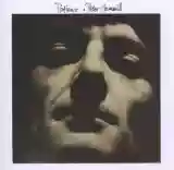 Peter Hammill: Patience