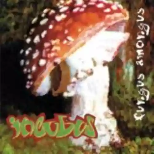 Cover di Fungus Amongus