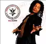 Terence Trent D'Arby: Wildcard