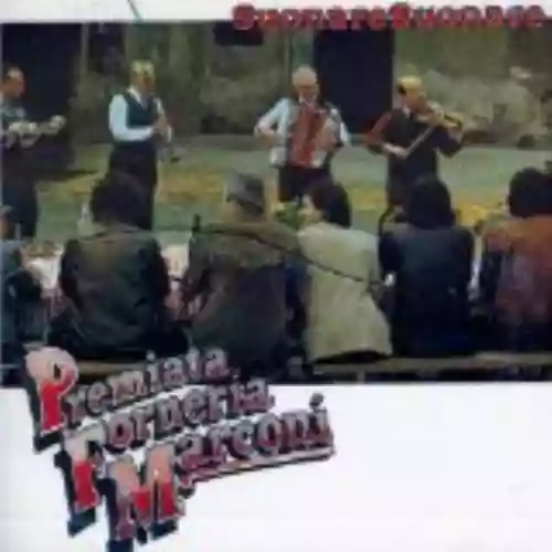 Cover di Suonare suonare