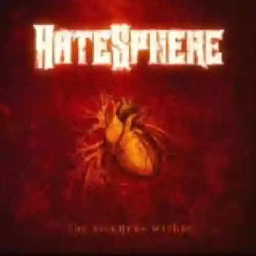 Cover di The Sickness Within