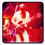 Paul Weller: Live Wood