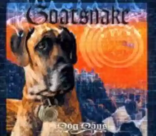 Cover di 1 + Dog Days