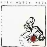 Thin White Rope: Exploring The Axis