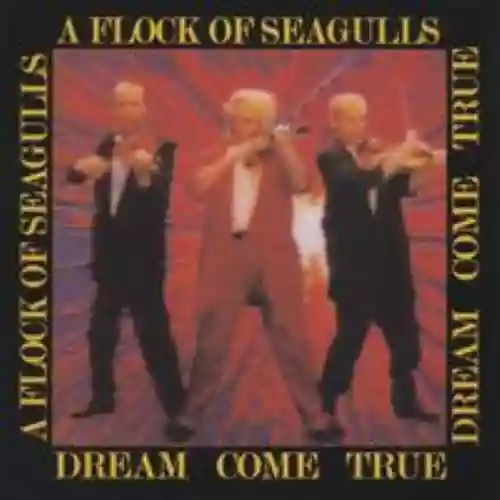 Cover A Flock of Seagulls - Dream Come True