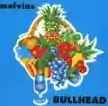 <b>Melvins</b> • Bullhead