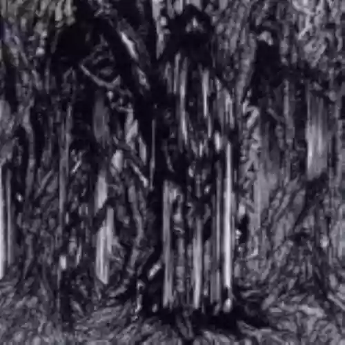 Cover Sunn O))) - Black One