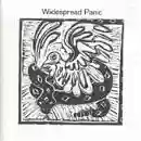 Widespread Panic: Widespread Panic