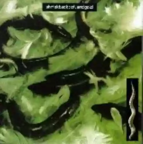 Cover di Oil and Gold