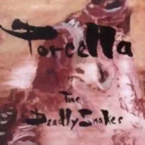 Cover di Porcella