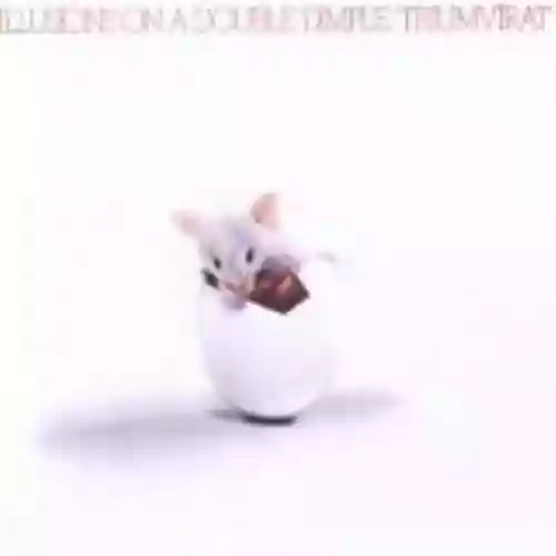 Cover Triumvirat - Illusions on a Double Dimple