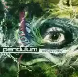 Pendulum: Hold Your Colour