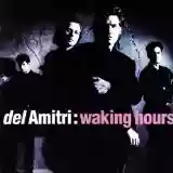 Del Amitri: Waking Hours