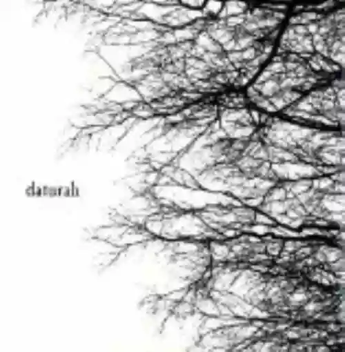 Cover di Daturah